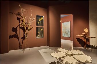 ATTO V: Ex Terr - Nilufar Gallery