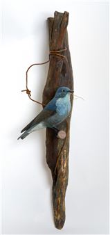 Blue Finch - Gerry Perron