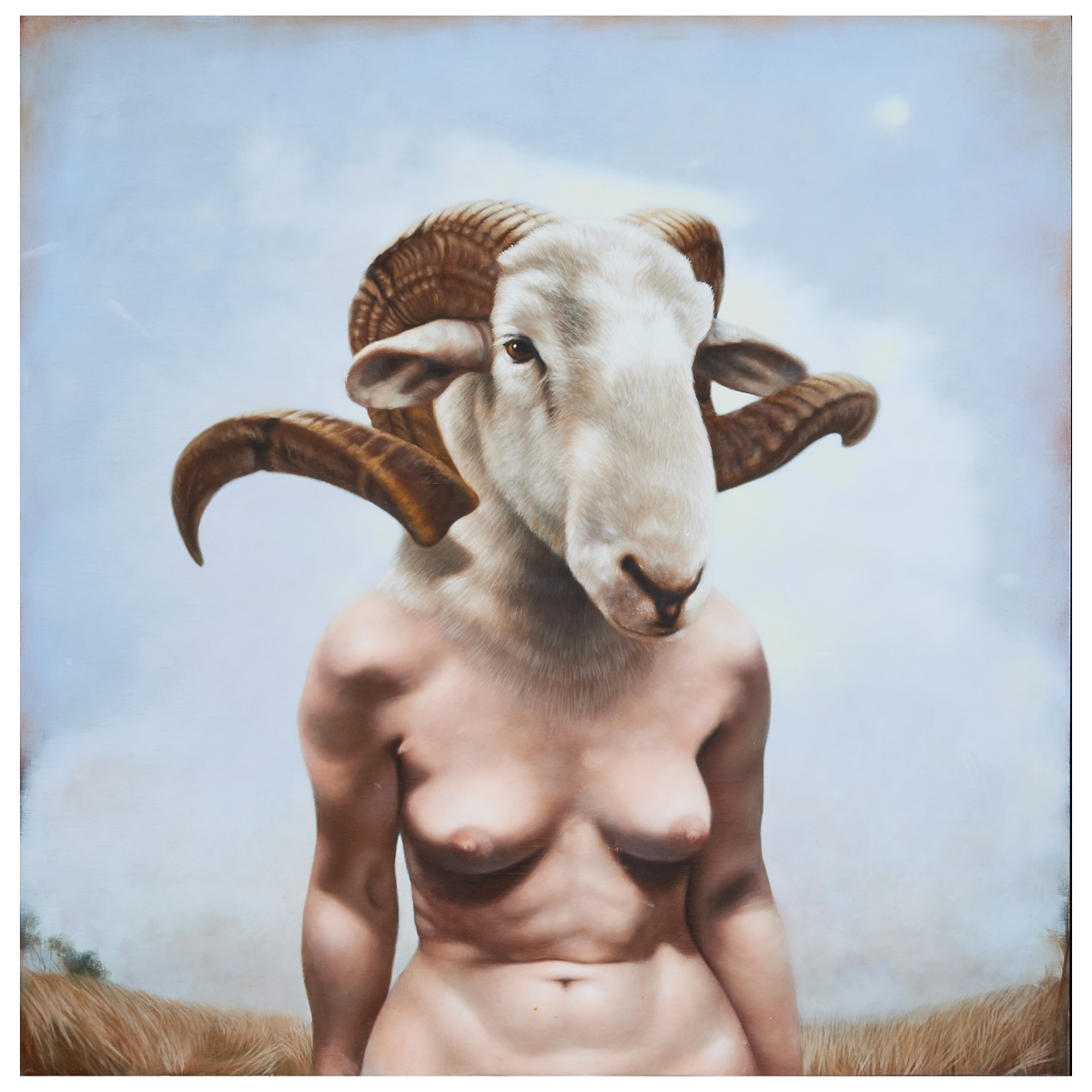 Artwork by Francesca Sundsten, Monster Sheephead, Made of oil on board