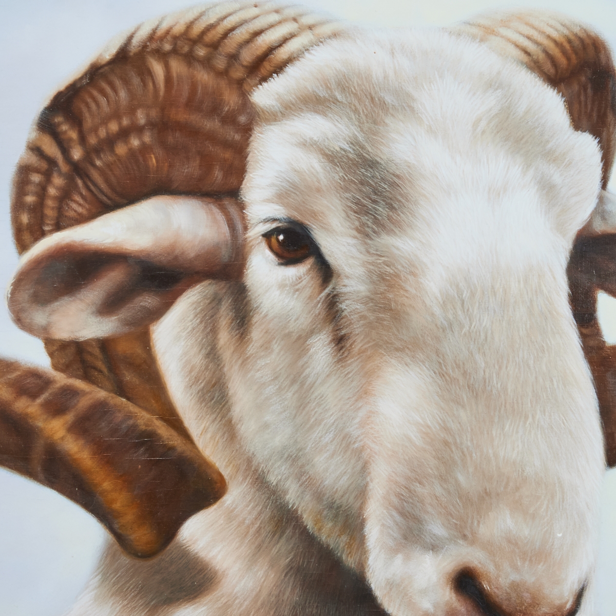 Artwork by Francesca Sundsten, Monster Sheephead, Made of oil on board