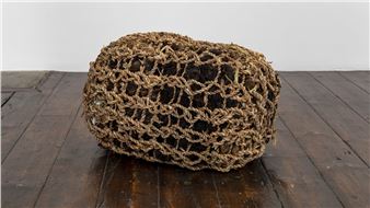 Dan Coopey: Cage Animals