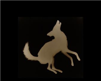 Kate Breakey: Selected Works - Etherton Gallery