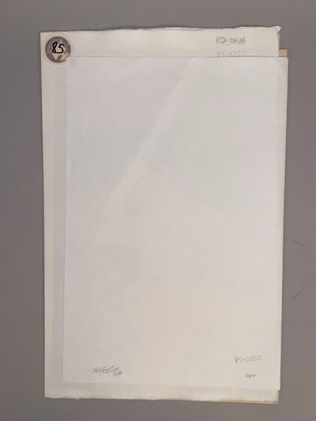 Artwork by Takahashi Shtei, Beauty in front of a mirror, Made of Print, dai oban tate-e