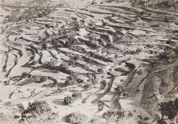 Terraced gardens. Ibiza by Raoul Hausmann, c. 1933-1936