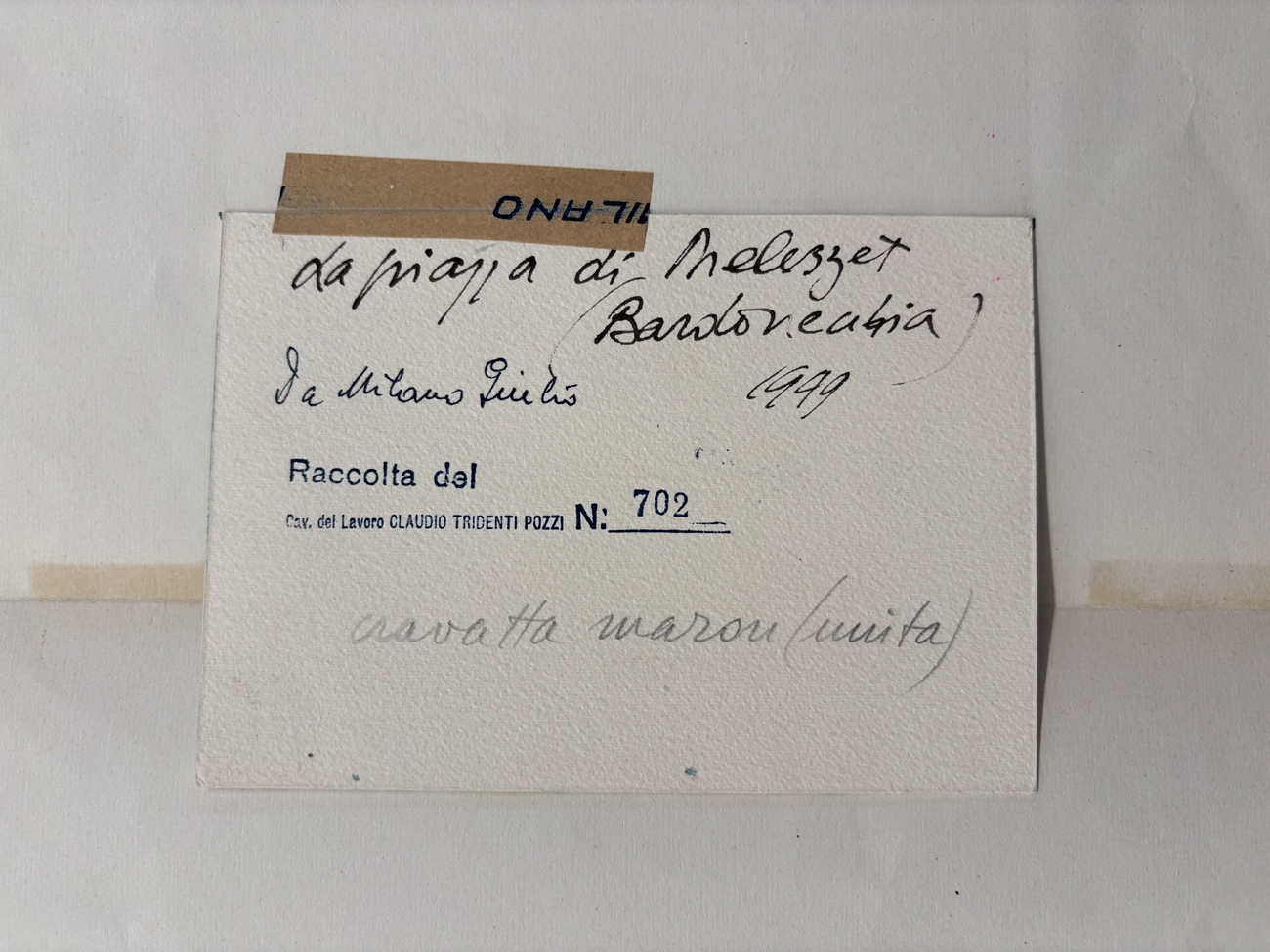 Artwork by Giulio Da Milano, Senza Titolo, Made of mixed media on card