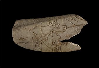 Ice Age Art Now - Cartwright Hall Art Gallery