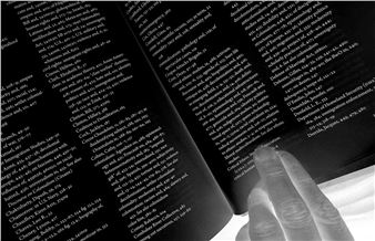 Art Wall / Stephanie Syjuco: Present Tense (Roll Call)