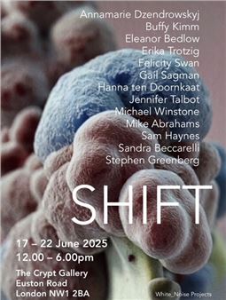 SHIFT - The Crypt Gallery