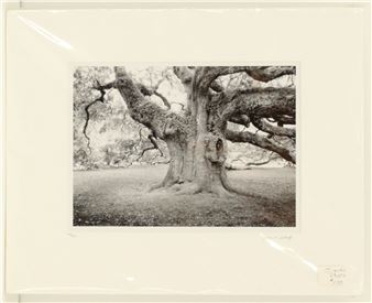 Paul Shatz (21st Century) American, Limited Edition Photograph Print - Paul Shatz