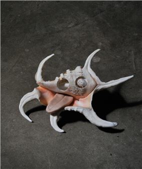 Alfredo Aceto & Raphael Danke: Secret Garden - Galleria UNA, Piacenza