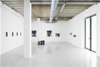 Torbjørn Rødland | 44 Artworks at Auction | MutualArt