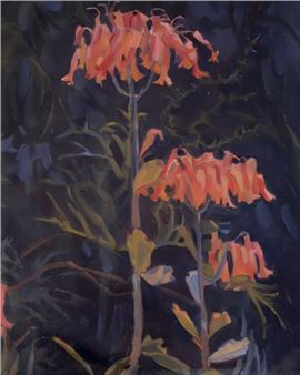 In Profile: Madison Baird - Mosman Art Gallery