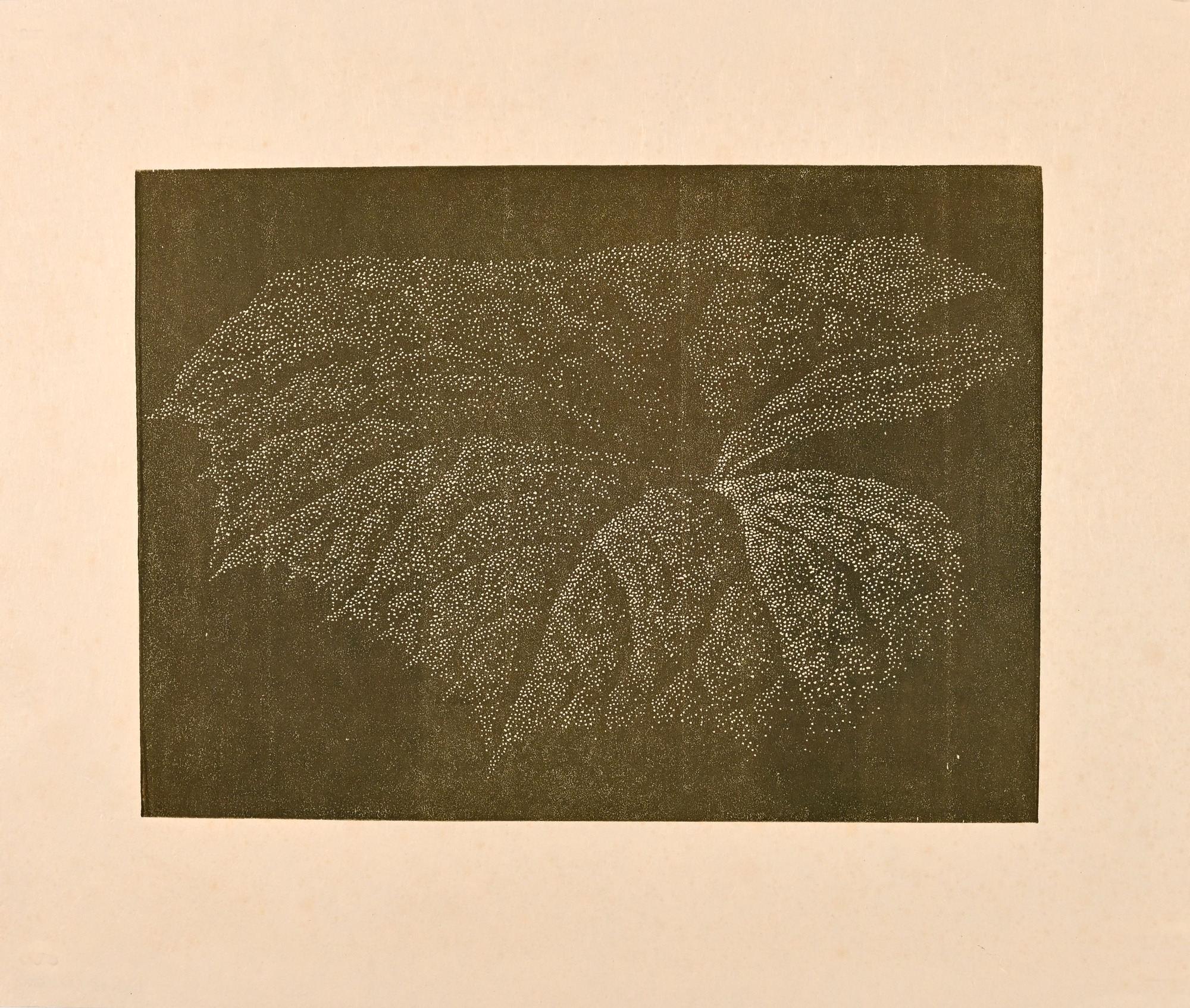 Artwork by Franz Gertsch, Butterbur, Made of Woodcut