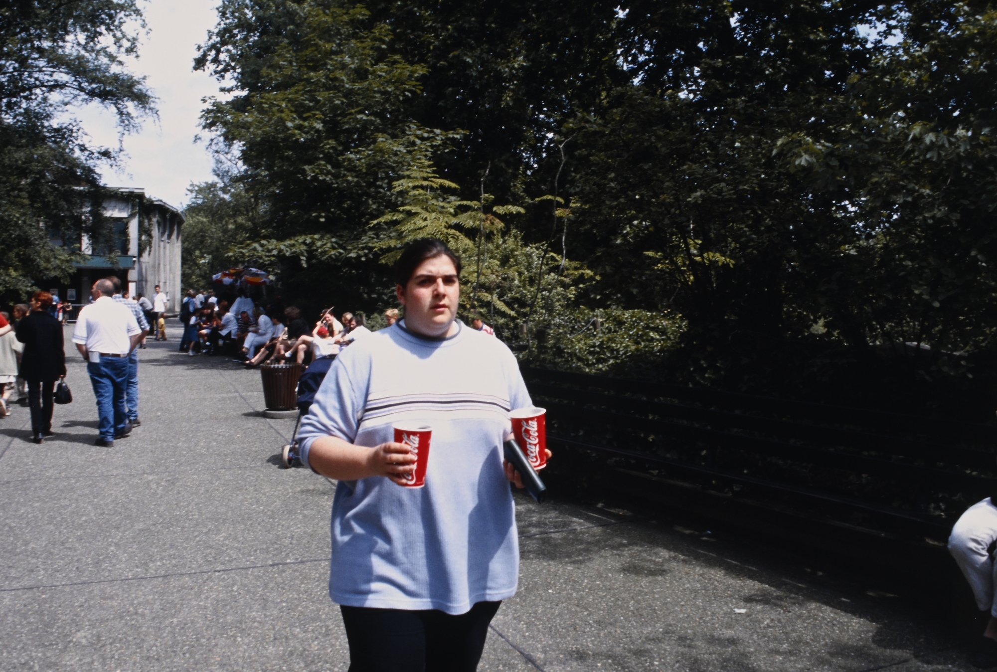 Artwork by Dan Graham, Fun for Kids at my Work in a Park in Manhatten, Made of Pigment Print