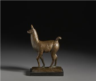 Lama - Regina Bracchi