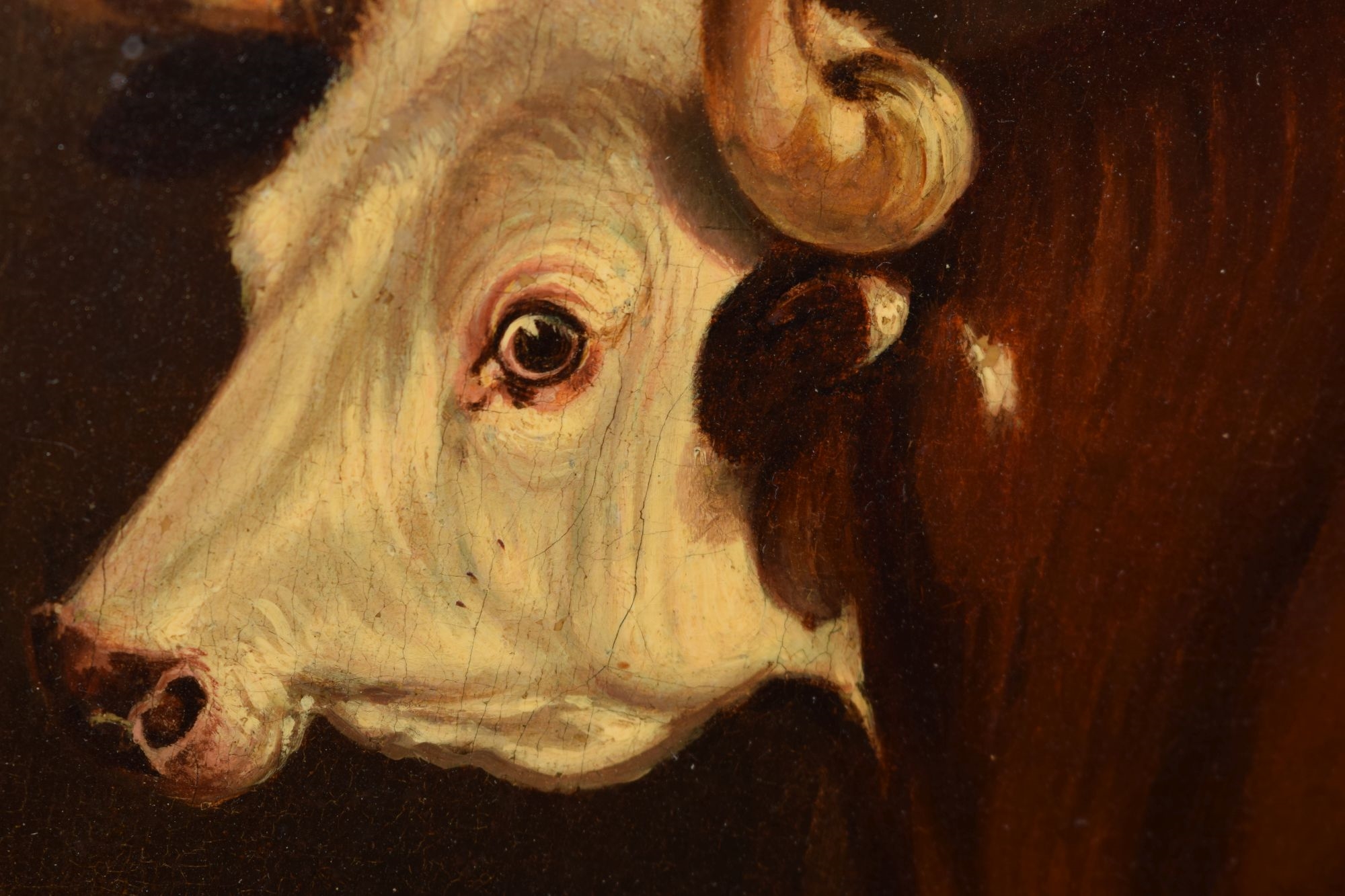 Primitive School, 19th Century | Longhorn bull in a cowshed (Circa 19th ...