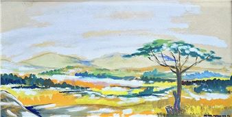 VELD EN VLEI - Pieter Potgieter