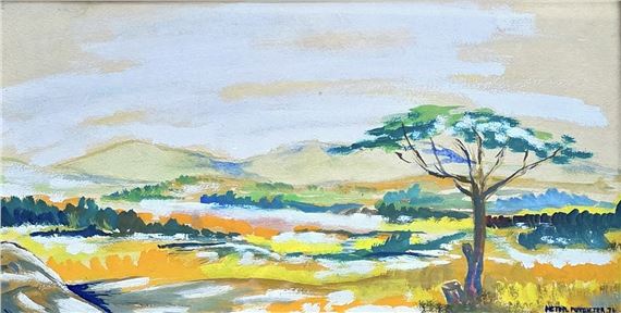 VELD EN VLEI - Pieter Potgieter