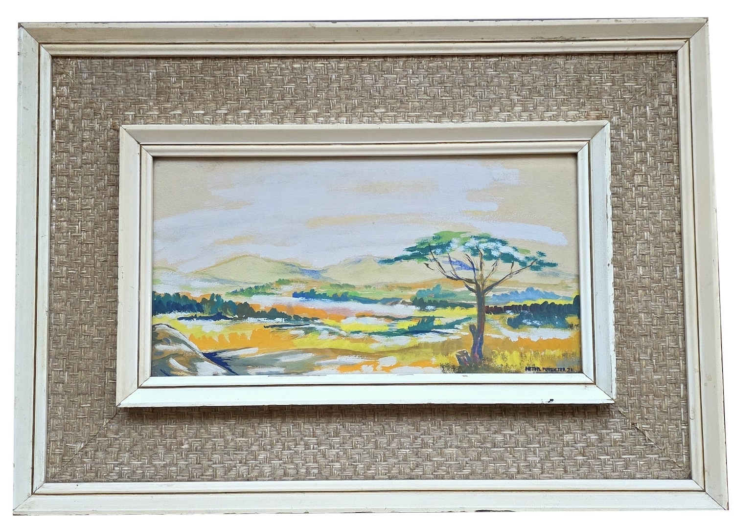 Artwork by Pieter Potgieter, VELD EN VLEI, Made of gouache on card