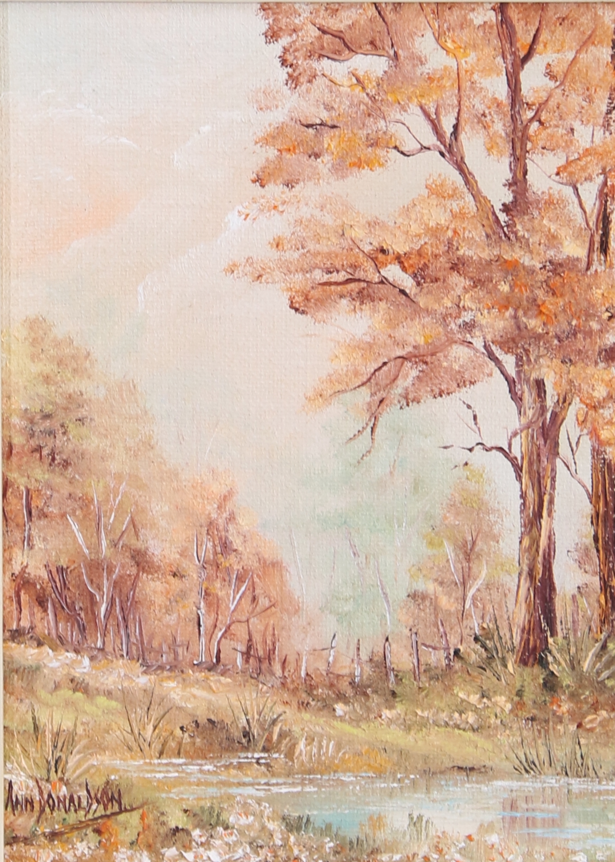 Ann Donaldson | FLOWING RIVER | MutualArt
