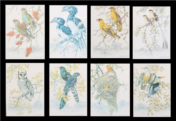 BIRD STUDIES by Dick Findlay