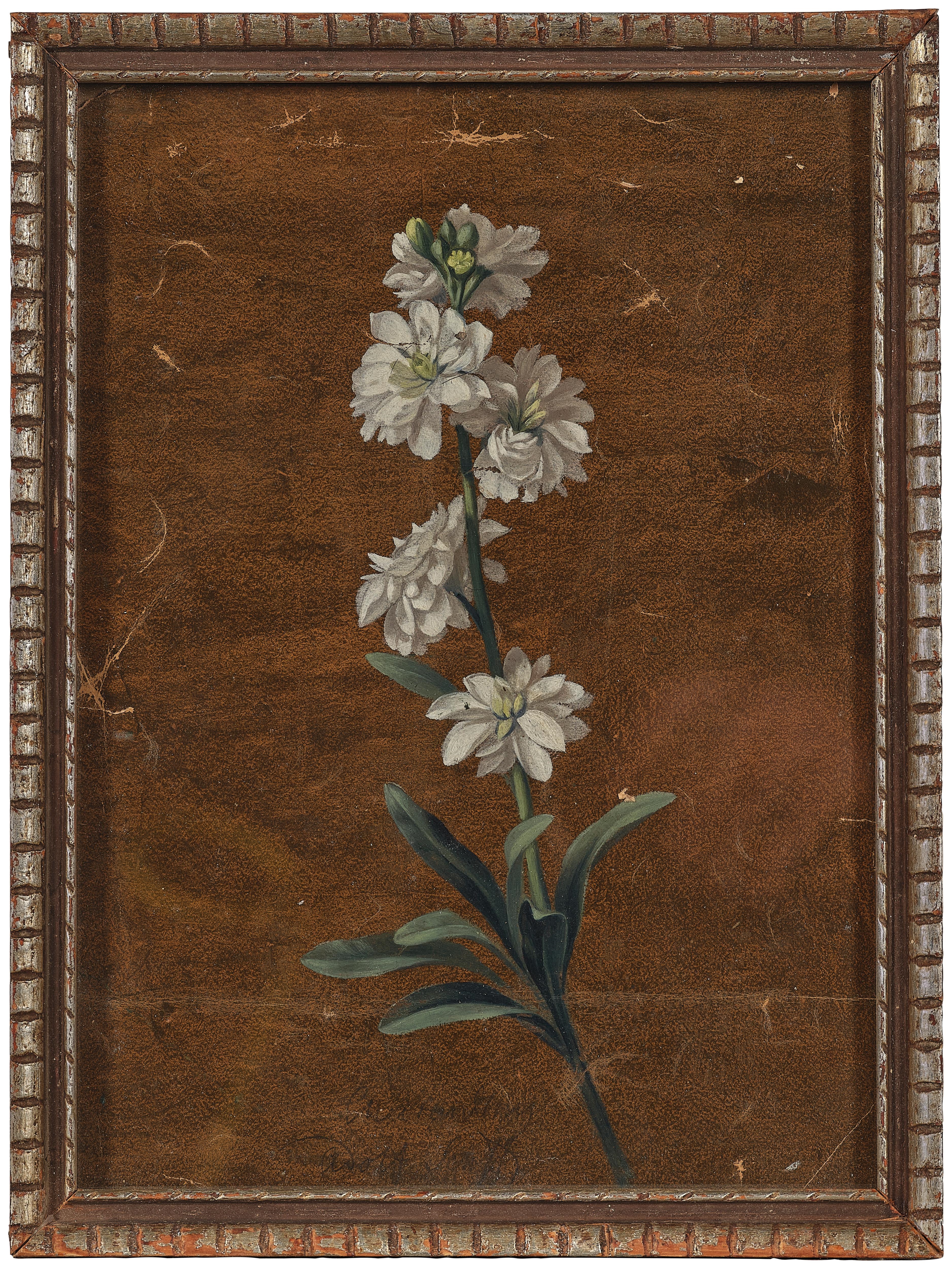 Artwork by Carl Adolf Senff, White double stock, Made of oil on paper