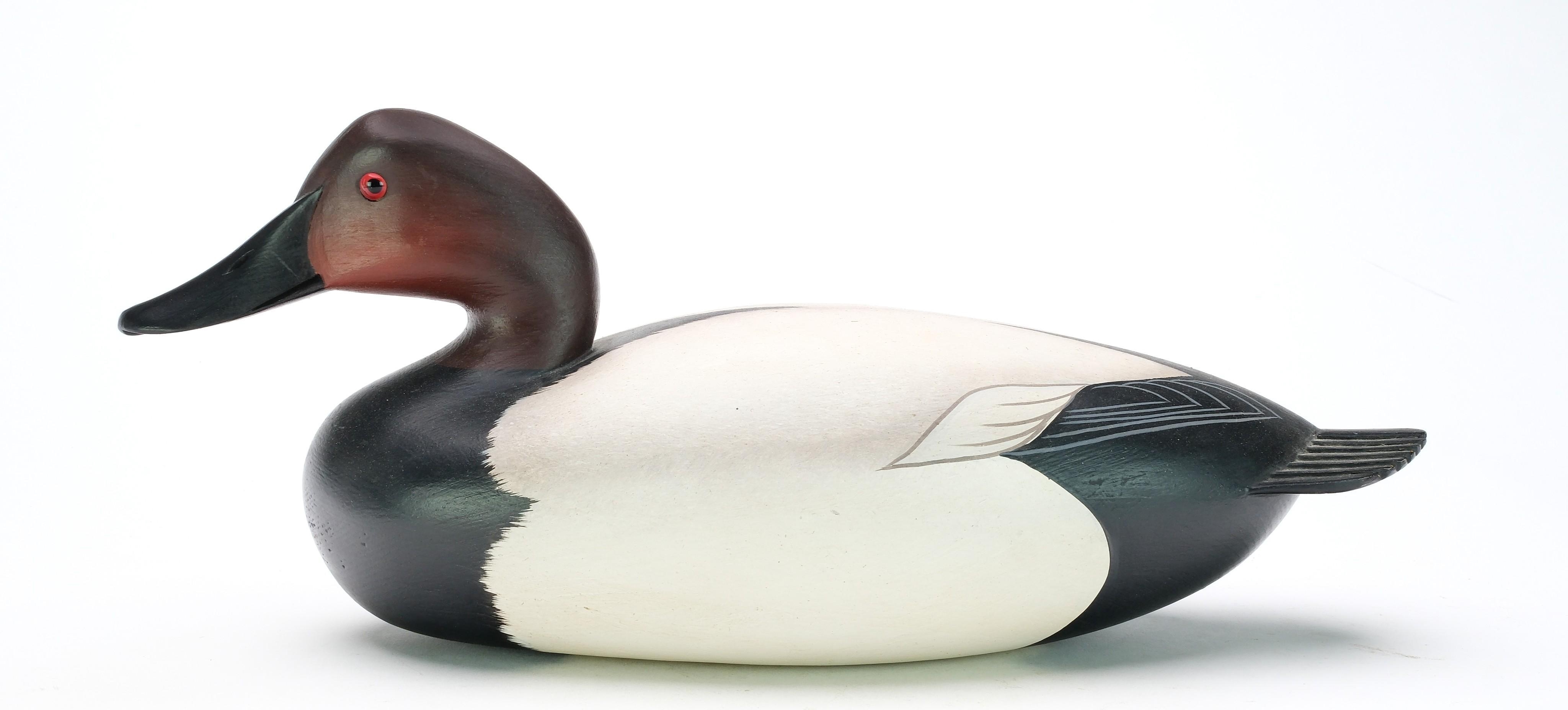 George Strunk | Canvasback (1993) | MutualArt