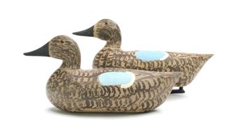 Two blue wing teal - Charles Schoenheider, Jr.