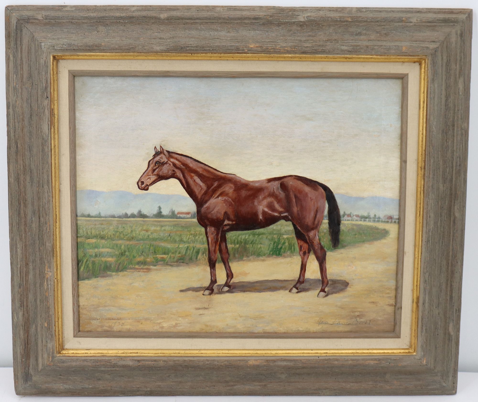 Artwork by Georgia Bull, Georgia Zane Bull (1871-1946) American, Signed Oil on Canvas Landscape Painting of a Horse, Made of Oil on Canvas
