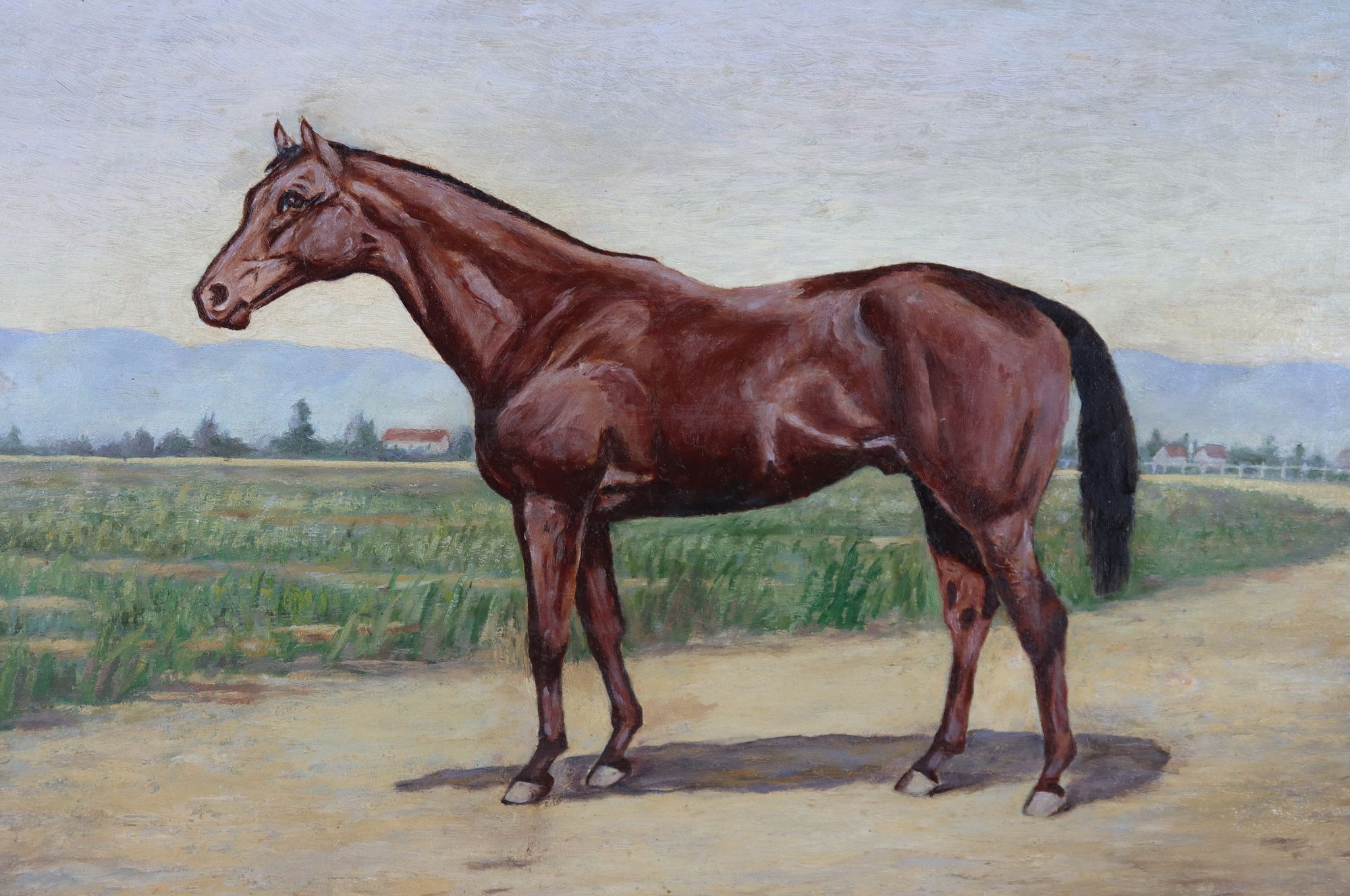 Artwork by Georgia Bull, Georgia Zane Bull (1871-1946) American, Signed Oil on Canvas Landscape Painting of a Horse, Made of Oil on Canvas
