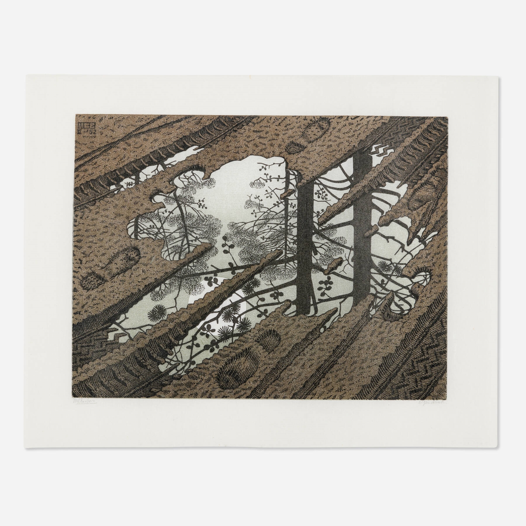 Maurits Cornelis Escher | Puddle Puddle (1952) | MutualArt