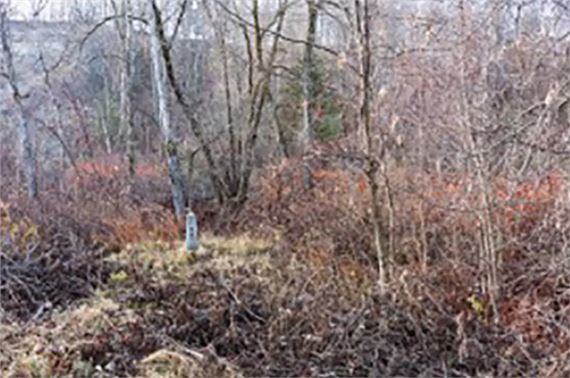 Benjamin Rondel: Border Line - Gallery 1313