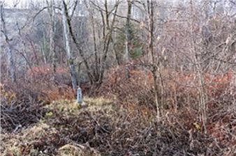 Benjamin Rondel: Border Line - Gallery 1313