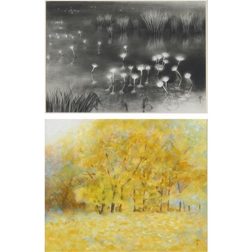 Naoko Overview: Sales Records & Exhibition History