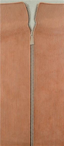Zipper no. 2 (Zip by Domenico Gnoli, 1968