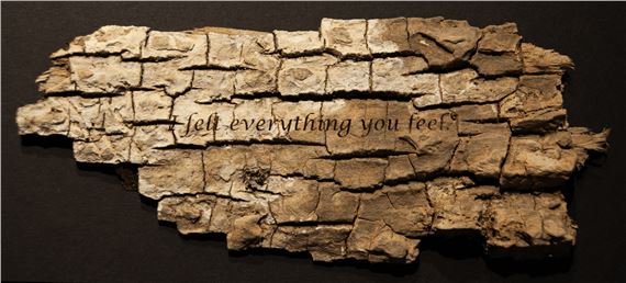 Jim Toia and Lee Upton: The Never Lost Forest - Hunterdon Museum of Art