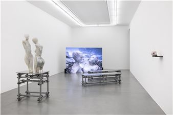 Ambra Castagnetti: Supernature - Francesca Minini