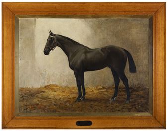 The Ruffian by Avondale - Florence Fraser