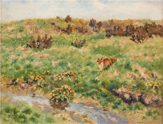 Räv i sommarlandskap