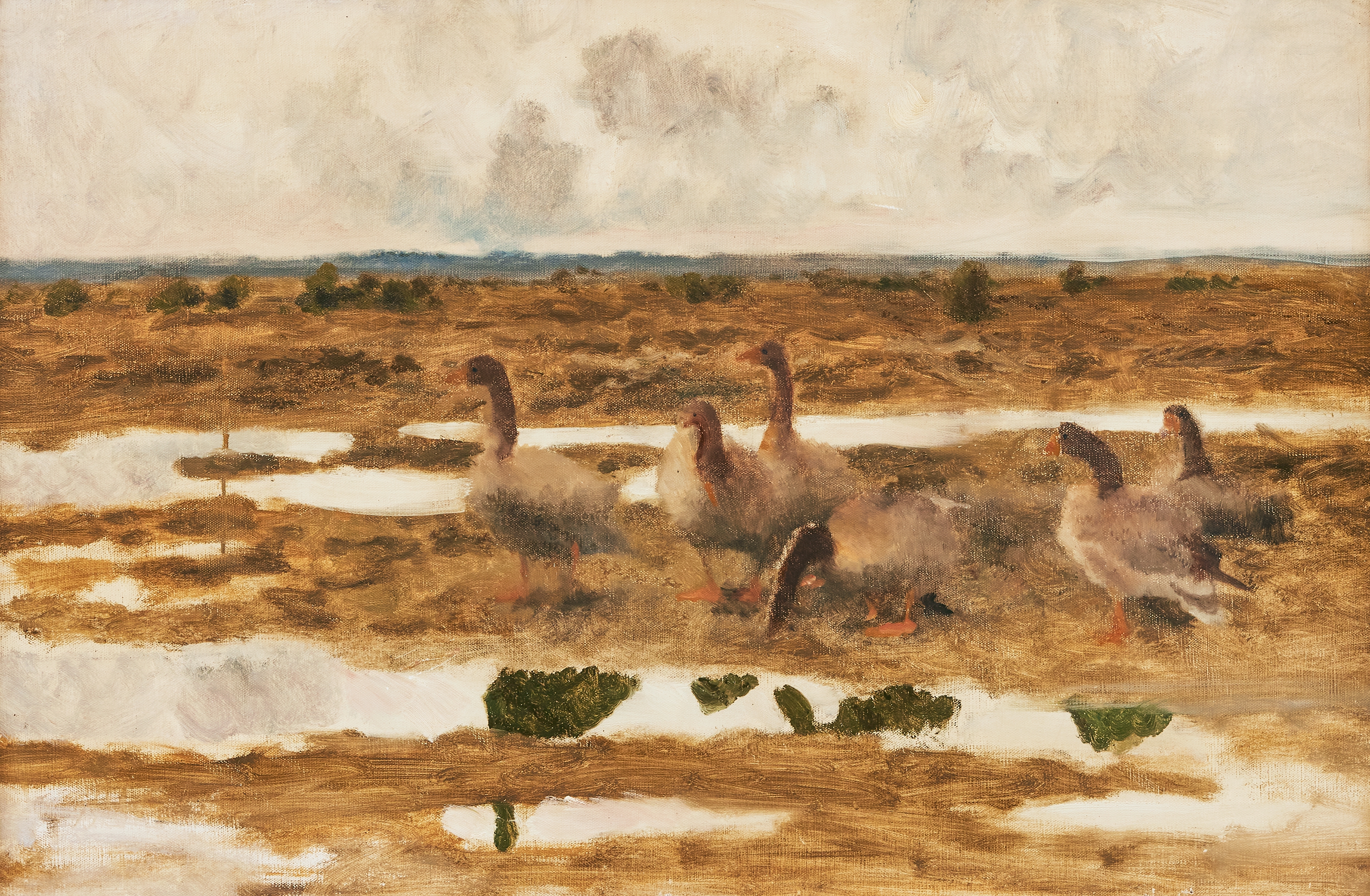 Artwork by Bruno Liljefors, Landskap med gäss, Made of oil on canvas