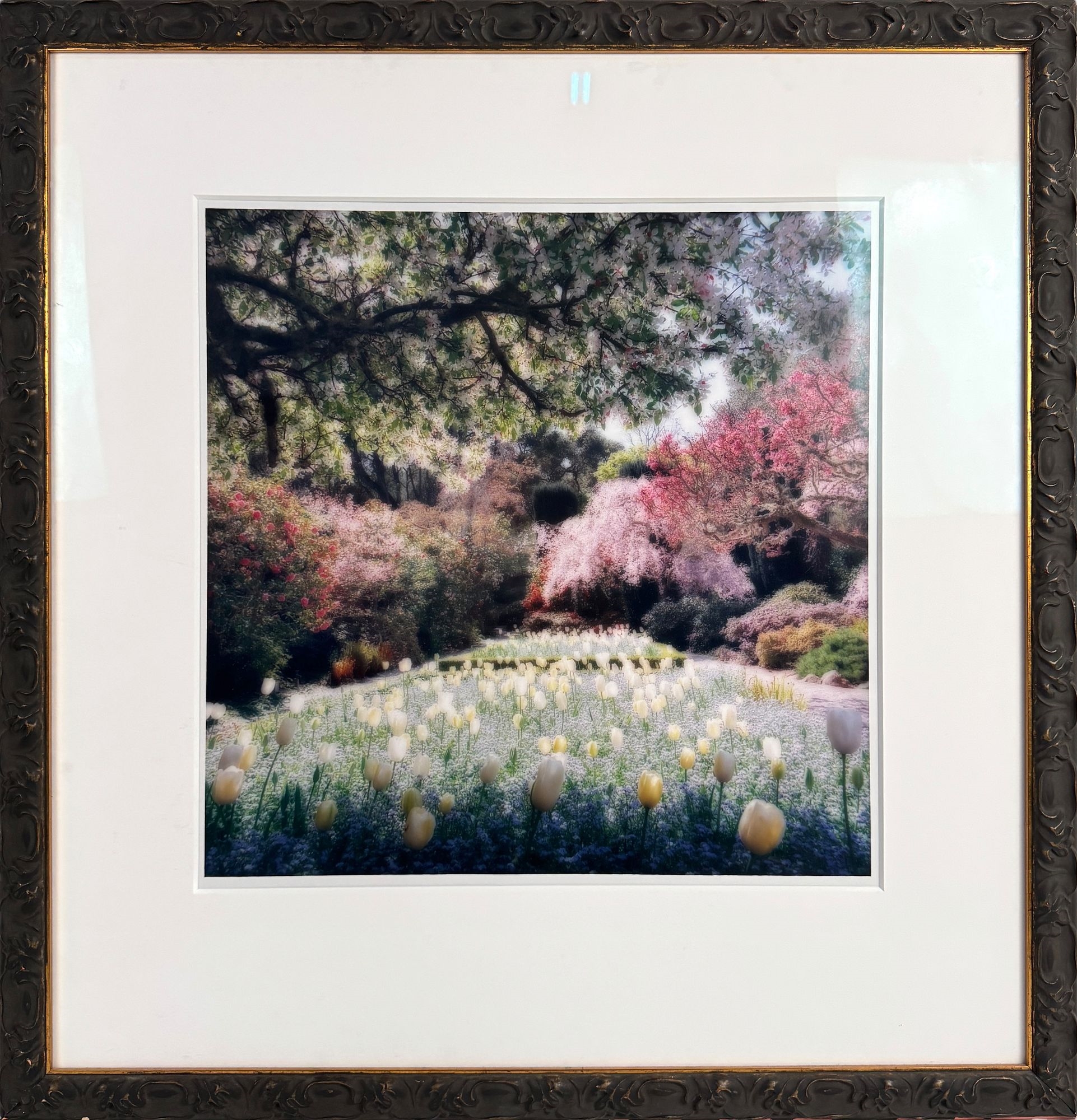 Lynn Geesaman | Filoli Gardens | MutualArt