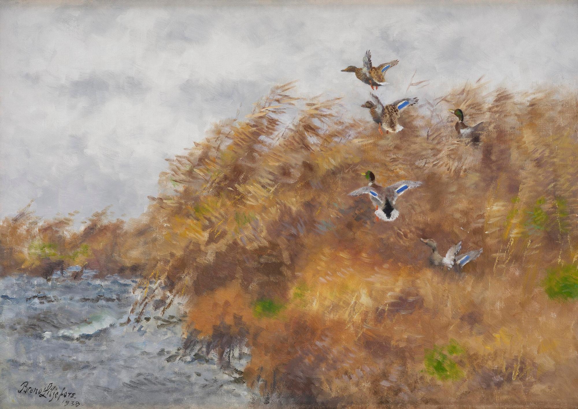 Artwork by Bruno Liljefors, Flying wild ducks in the reeds, Made of Canvas
