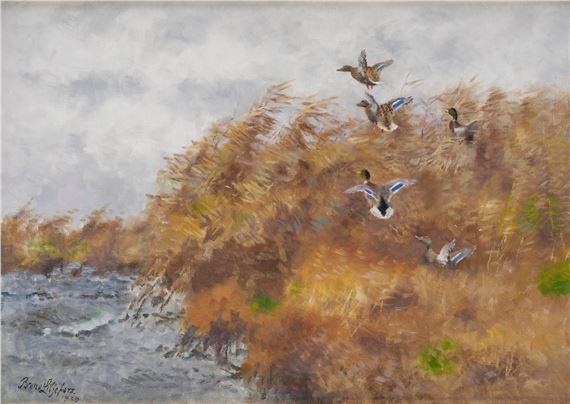 Flying wild ducks in the reeds