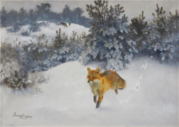 Fox in a winter landscape