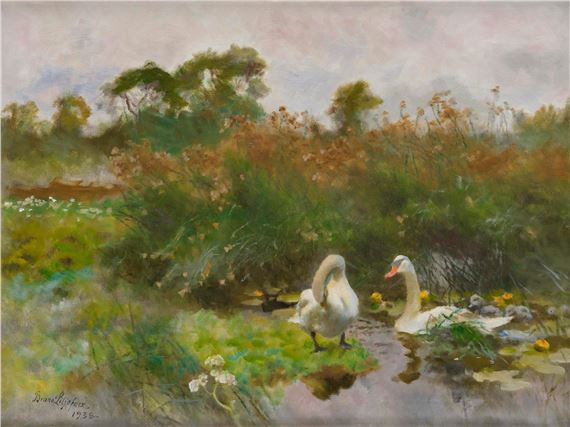Two swans with cygnets