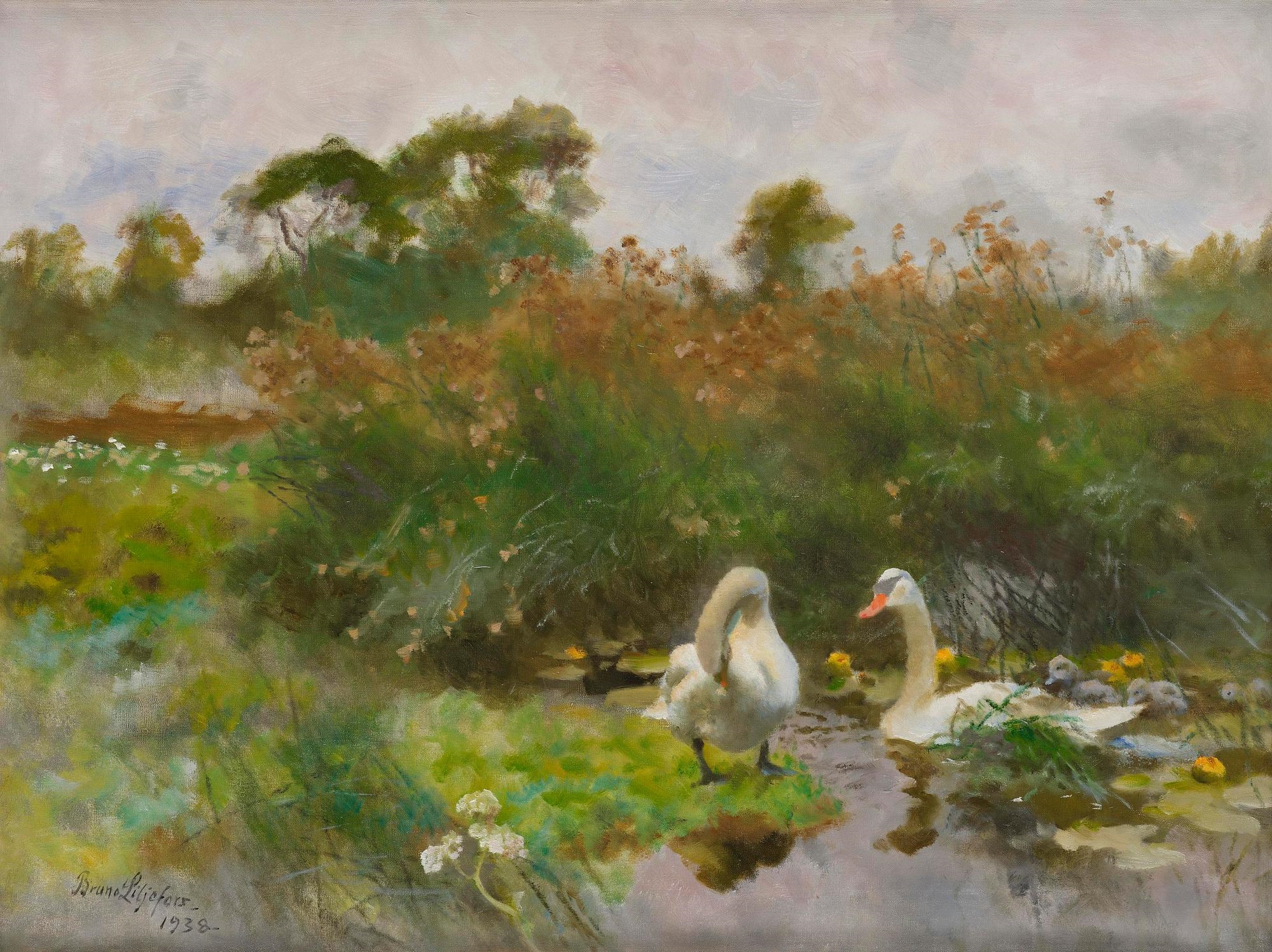 Artwork by Bruno Liljefors, Two swans with cygnets, Made of Oil on canvas