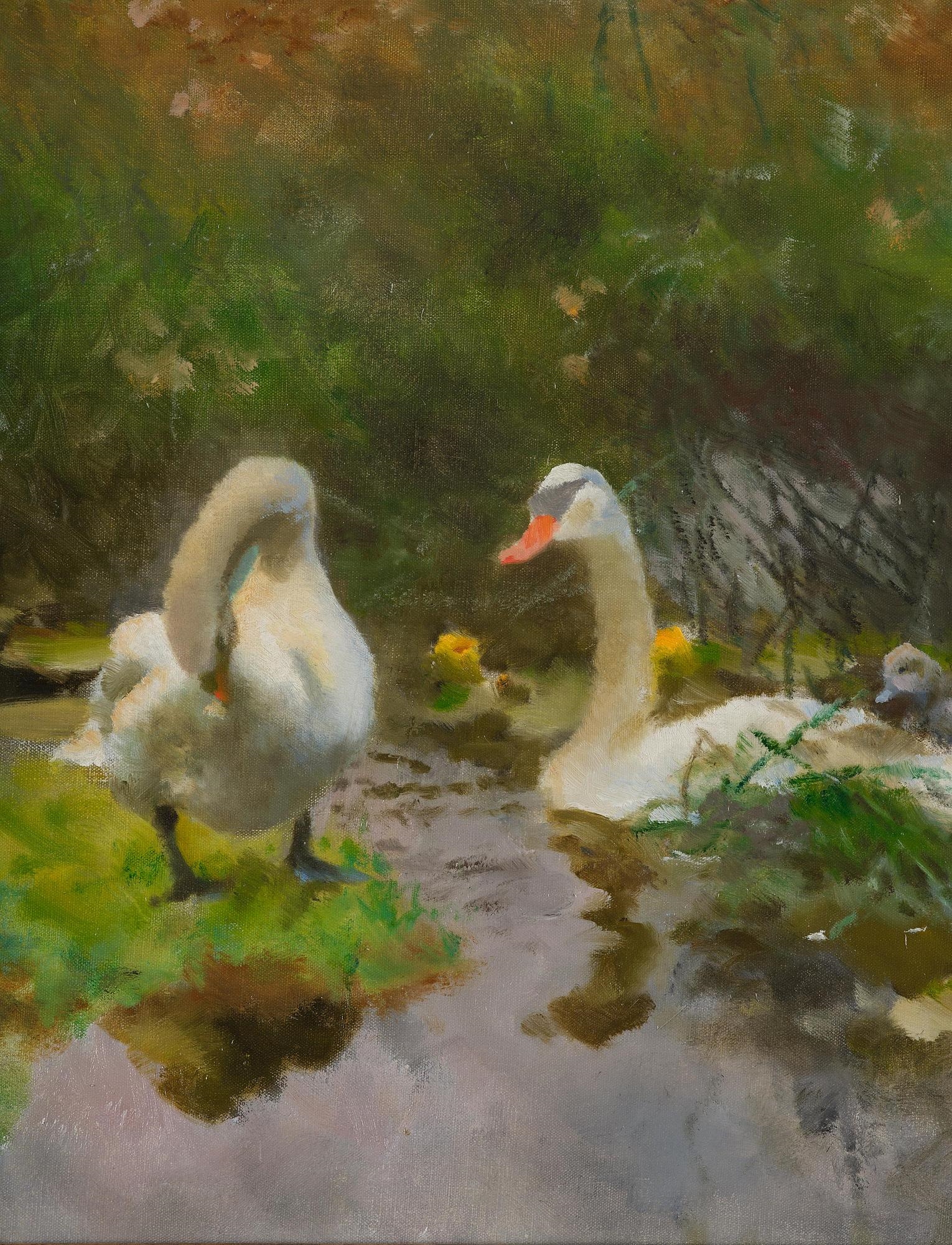 Artwork by Bruno Liljefors, Two swans with cygnets, Made of Oil on canvas