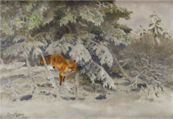 Fox in winter landscape