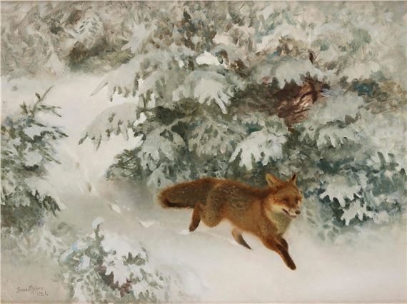 Fox in a winter landscape