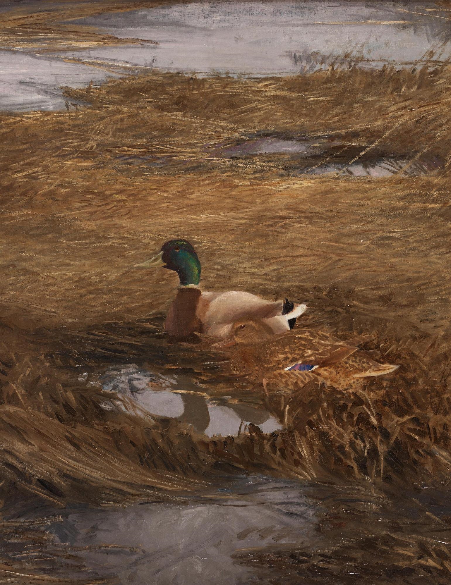 Artwork by Bruno Liljefors, Mallards in the reeds, Made of Oil on canvas